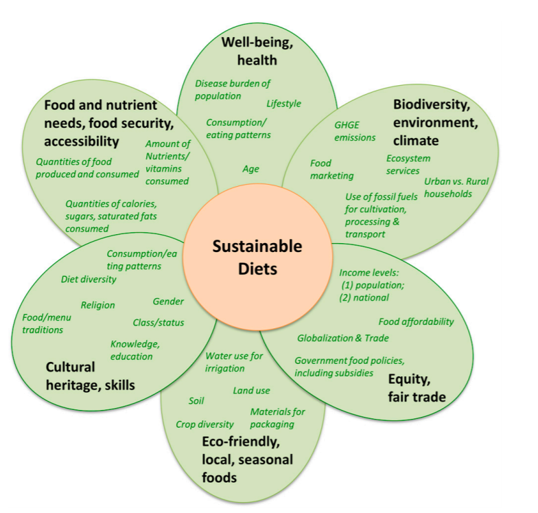 Understanding sustainable diets a descriptive analysis of the